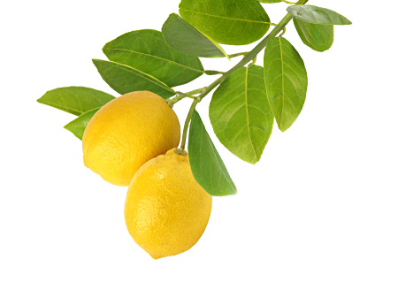 手作り石けんの材料レモン-フレグランスオイル