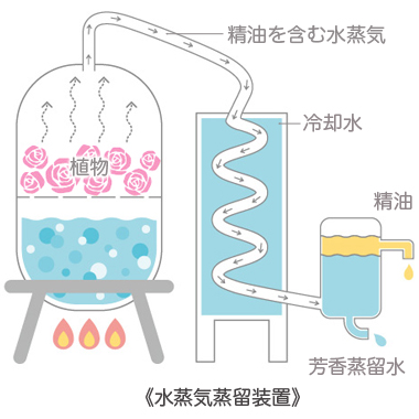 水蒸気蒸留法